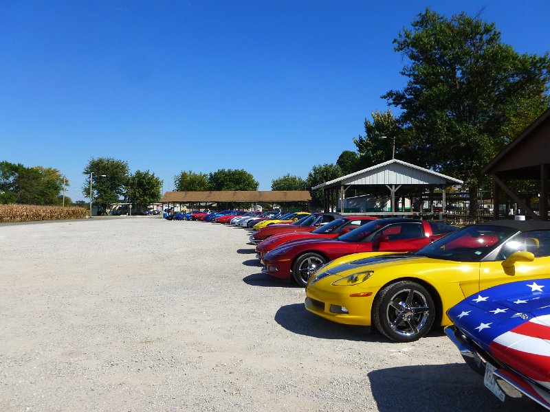 STLCC PICNIC SEPT 2014 102